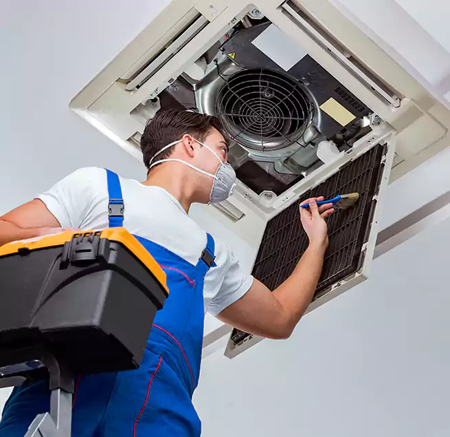 Why Homeowners & Businesses Trust Us in Sammamish, WA